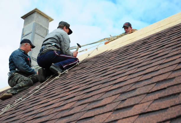 Best Local Roofing Companies  in Jamestown, NY